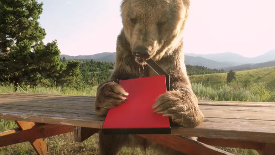 Bear vs Box